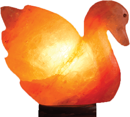 Himalayan Animal Shaped Pink Salt Lamps
