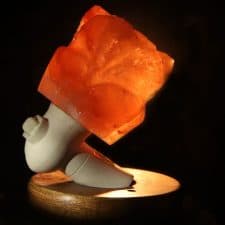 Flower Shaped Night Wall Salt Lamp