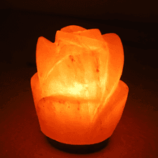 Tea Rose Shape Salt Lamp