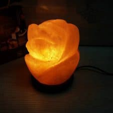 Lilly Flower Shape Salt Lamp